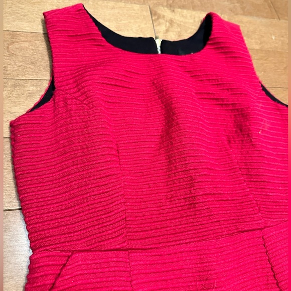 Zara Basic Magenta Pencil Dress with Zip up Back and Horizontal Lining - Picture 4 of 7